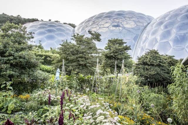 The biomes at the Eden Project, Cornwall