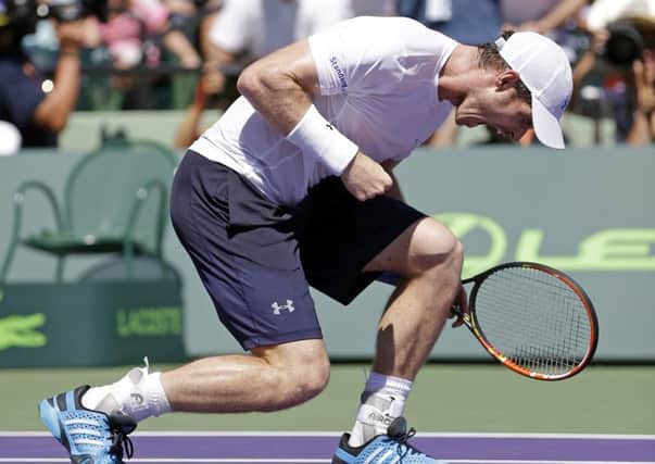 Andy Murray, of Great Britain, celebrates after defeating Tomas Berdych at the Miami Open. AP:/Alan Diaz.