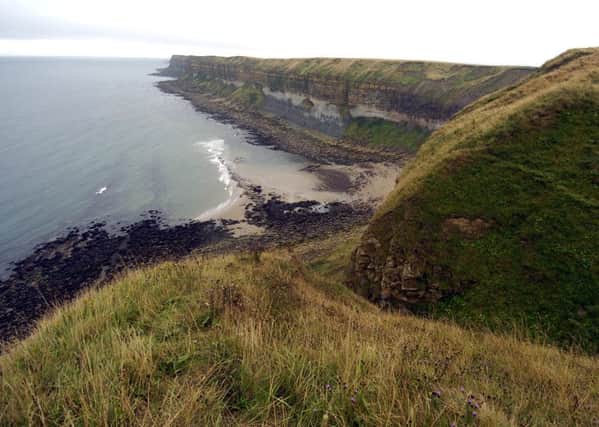 The cliffs at Filey where the girl fell. Picture: Ross Parry Agency