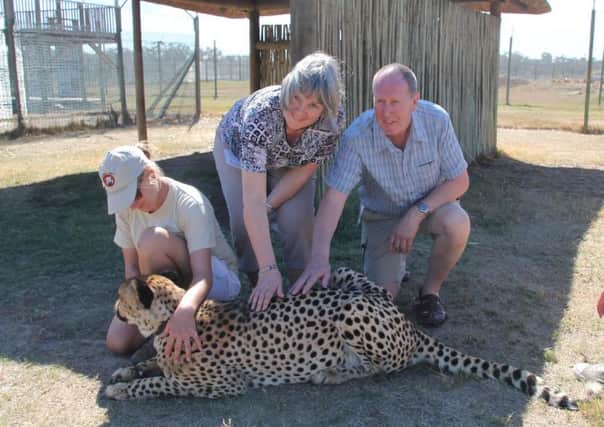 Quiz winner Liz and her partner Trevor get up close with a cheetah