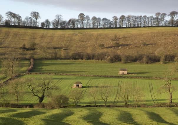 Many farmers in Yorkshire have yet to apply for subsidies.  Pic: Rod Kirkpatrick