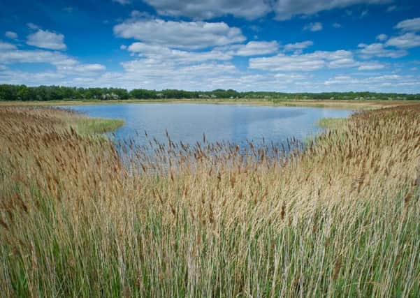 Yorkshire Wildlife Trust is planning a new visitor centre at Potteric Carr Nature Reserve, Doncaster.


Picture: Matthew Roberts