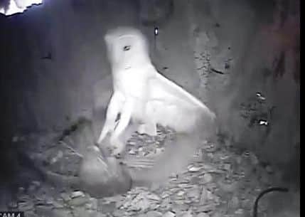 A scene from the CCTV footage