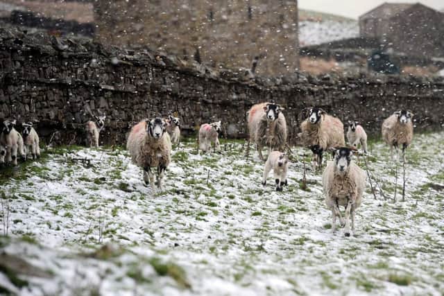 Snow has fallen across Wensleydale and other parts of Yorkshire