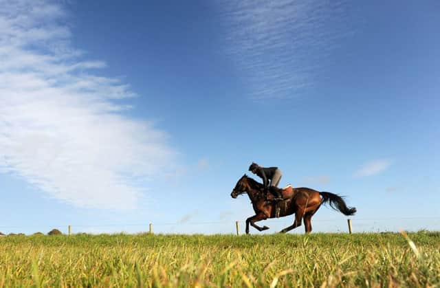 Major Malarkey from Nigel Twiston-Davies Stable's is ridden on the gallops during a media session on the gallops at the Grange Hill Farm,  Naunton. PRESS ASSOCIATION Photo. Picture date: Tuesday November 12, 2013. See PA story RACING Power. Photo credit should read: Tim Ireland/PA Wire.