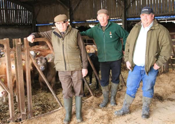 The Stephenson Family who are playing host to one of the Beef Expo's farm tours at their holding near Market Weighton.