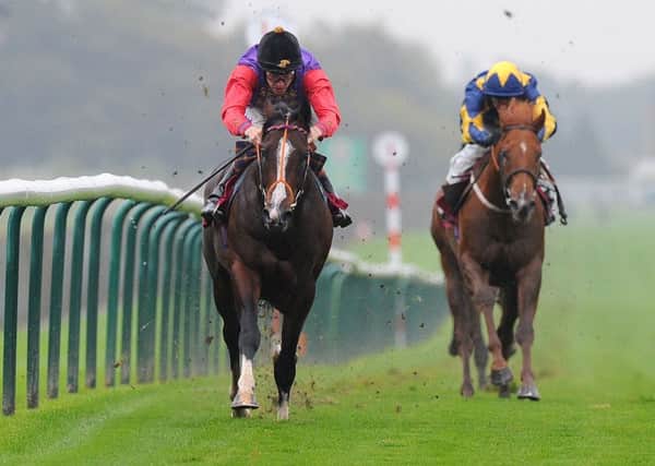 Musical Comedy ridden by Richard Hughes and owned by The Queen, wins The ApolloBet Best Odds Guaranteed Conditions Stakes, at Haydock Racecourse, Newton-Le-Willows.
