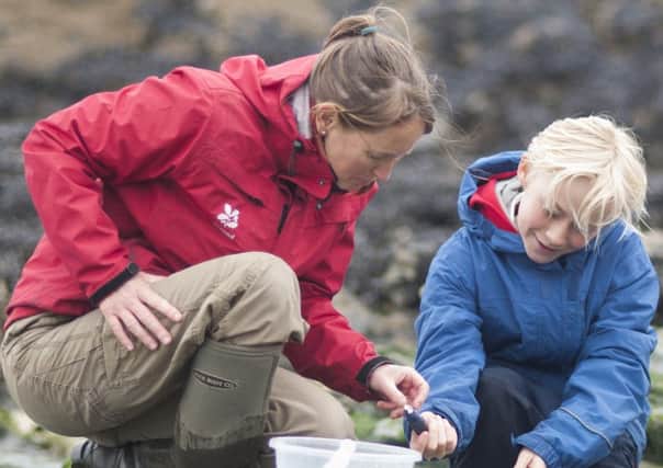 Wildlife-lovers are being asked to help the National Trust conduct its biggest survey yet of nature around the UK's coasts.