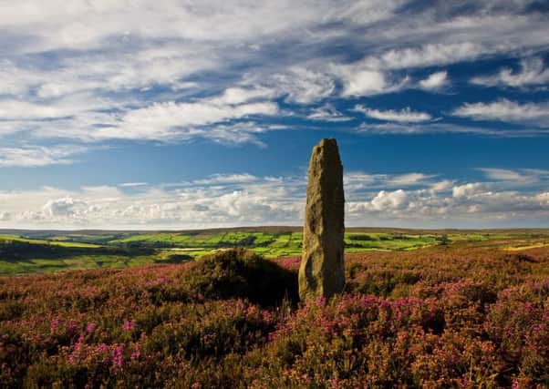A new charitable trust could help attract more funding to boost conservation work in the North York Moors National Park.  Pic: Mike Kipling
