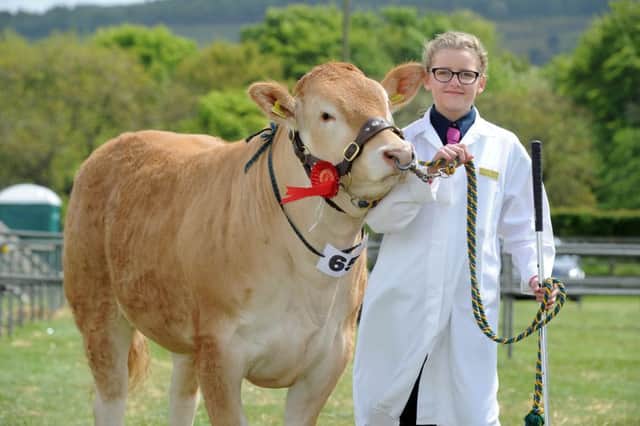 Gemma McNeil, 13, of Selby, winner of the Young Handler class with her British Blonde