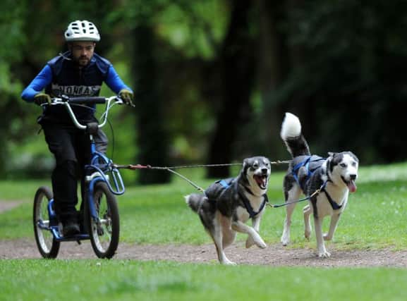 John Lam excersises Kate and Meisha at Endcliffe Park, Sheffield Picture by Simon Hulme