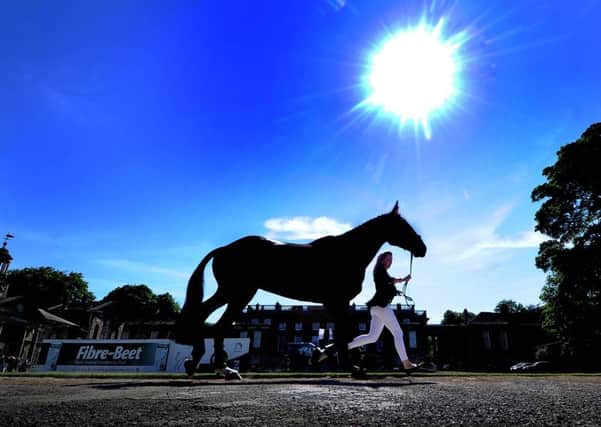 The sun shines at Bramham, near Leeds, where the famous Bramham Horse Trials start on Thursday.