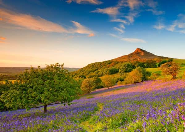 Roseberry Topping in the North York Moors National Park.  Pic: Colin Carter.