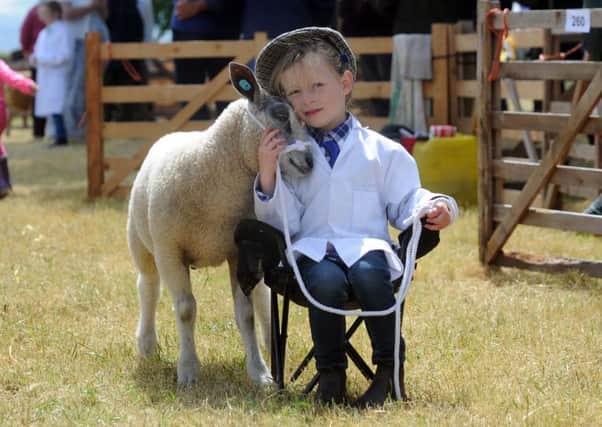Jovi Wood, aged three, from Stokesley, brushes her Bleu Du Maine lamb aged three months at North Yorkshire County Show. SH10014122q  Pictures by Simon Hulme