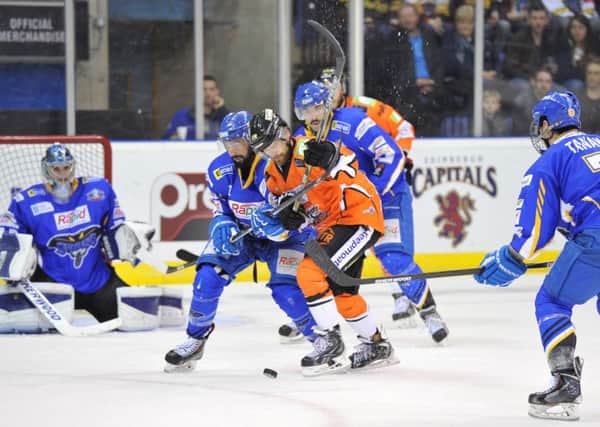 LAST TIME: Hull Stingrays' player-coach Omar Pacha, second left, battles with Sheffield Steelers' Tyler Mosienko in April's Elite League play-off semi-final. It now seems this will serve as Stingrays' last-ever game. Picture: Dean Woolley.