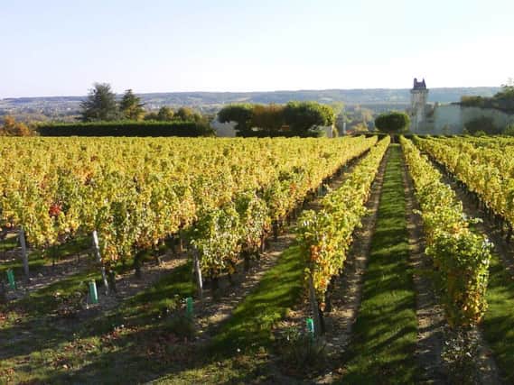 The Loire - home of beautiful Chateaux and lovely Cabernet Franc wines