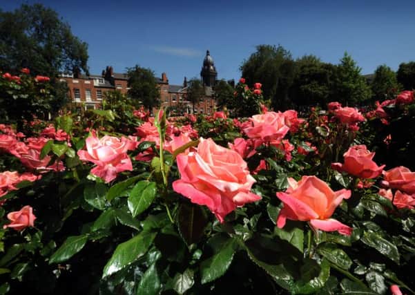 Roses bloom in Park Square, Leeds. PIC: Simon Hulme