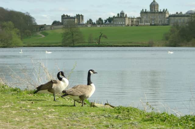 A stroll around the lake at Castle Howard proved very pleasant.  Pic: Jamie Wright