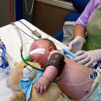 Kole Murray on intensive care, with his teddy bear supporting his breathing tubes
