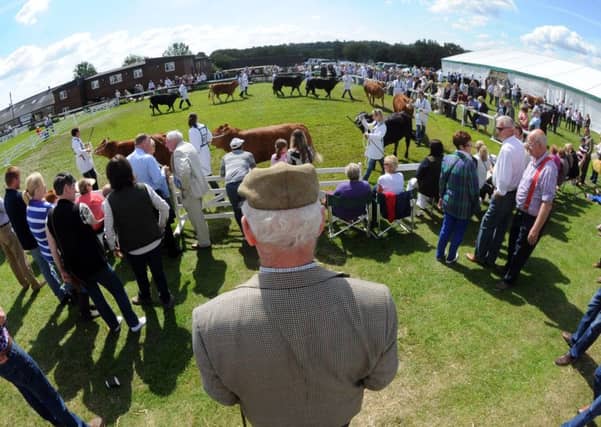 The Great Yorkshire Showground. Picture by Simon Hulme