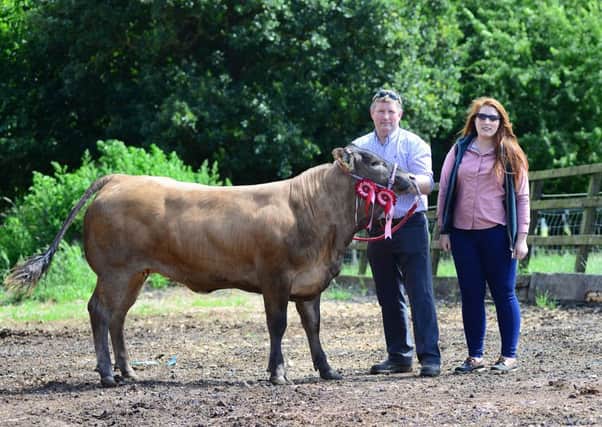 Butcher and farmer David Parkin from Crowle with his daughter Olivia and one of their prized cattle.  Pic: Scott Merrylees SM1008/89b