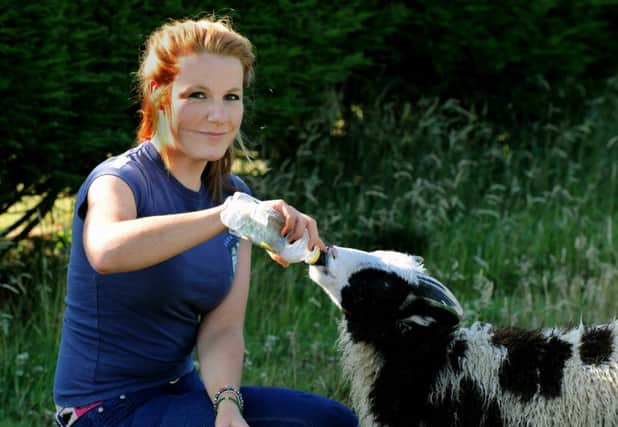 Emma Chester bottle feeding one of her Jacob lambs at Dalton near Thirsk. (GL1006/52b)
