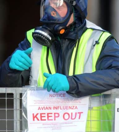 An official posts a sign at the scene of a bird flu outbreak in 2014