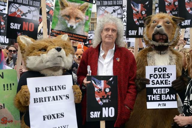 Brian May joins anti-foxhunting protesters outside the Houses of Parliament