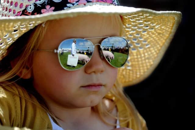 Poppy Sixsmith, 6, of Scarborough, watching the pig judging.