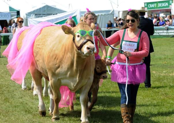 The British Blond team, renamed Legally Blonde, in the Housewives Choice competition   at  the Great Yorkshire Show