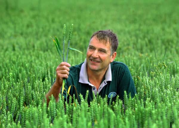 Andrew Craven from Fangfoss in a field of wheat on his farm (Gl1006/46b)