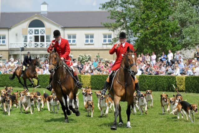 The parade of hounds in the main ring at the  Great Yorkshire Show in Harrogate