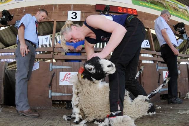 The women's sheep shearing event