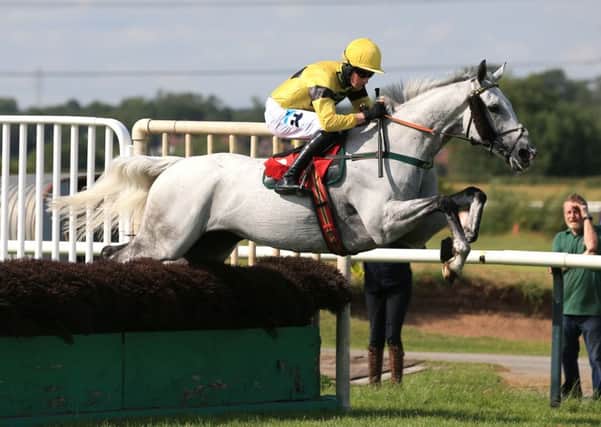 Kings Grey ridden by Brian Toomey led after two circuits but pulled up at Southwell