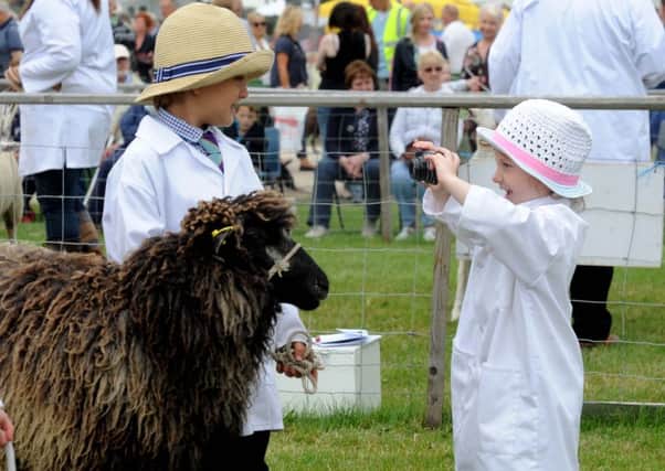 Young handler Rose Jewitt, 3, from Scarborough, takes a photograph of Charlie Glaves, aged 5, with his Leicester. Picture by Simon Hulme