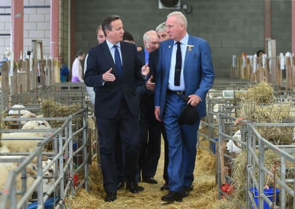 Prime Minister David Cameron is given a tour of the Welsh Mountain sheep enclosure by show director Harry Fetherstonhaugh during his visit to the Royal Welsh Show
