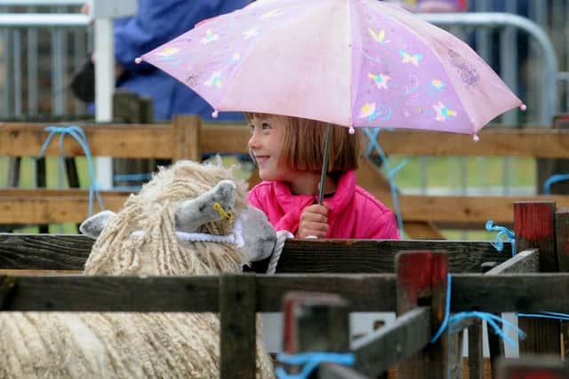 Louise Shipley, aged 6, takes cover at the Ryedale show. Pictures by Simon Hulme