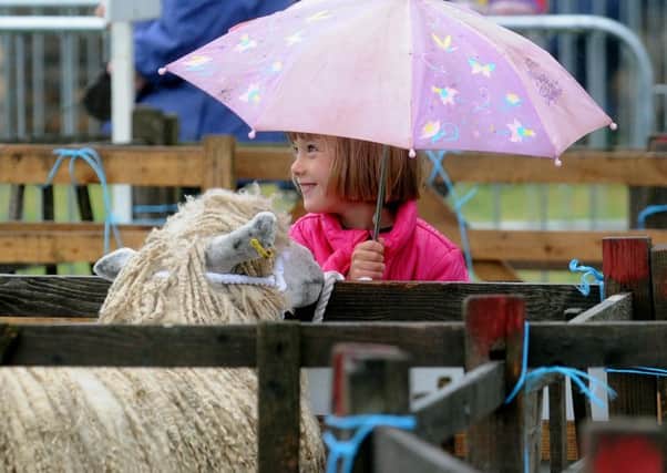 Louise Shipley, aged 6, takes cover at the Ryedale show. Pictures by Simon Hulme