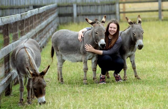 Jennifer Howarth from Cridling Stubbs will see her dream come true when her donkey santuary and visitors centre opens later in the year (2015). 
Photo date: 21/07/15
Picture Ref: AB144b0715
