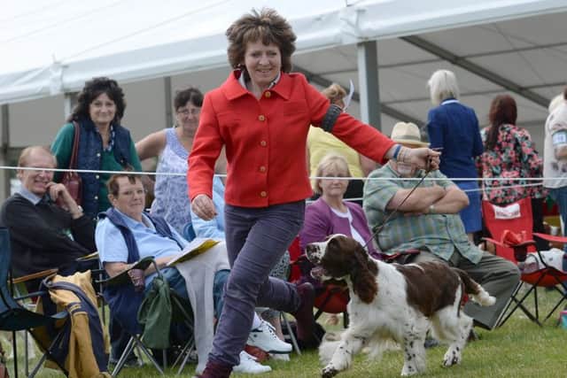 A competitor shows her dog during the Leeds Championship Dog Show at Harewood House. Picture: Anna Gowthorpe