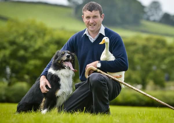 Sam the three-year-old Border Collie sheepdog and an Indian Runner duck  with Meirion Owen, who trains Sam to herd ducks at their home in Rhos yr Hafod, Camarthen, Wales. (Picture: Ben Birchall/PA Wire)