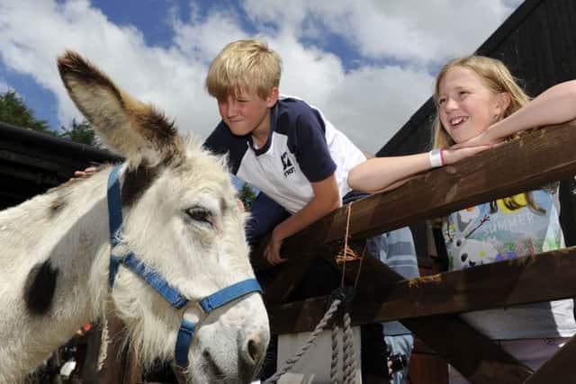 Freya and Ben Stones, 10, and 12, meet one of the Donkey Sanctuary's donkeys.  Picture Bruce Rollinson