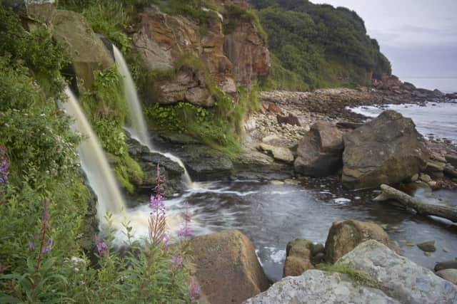 The waterfall at Hayburn Wyke.
Picture: National Trust Images / Joe Cornish