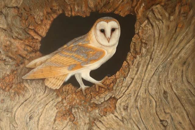 Robert Fuller's painting of the barn owl.