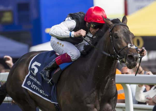 Derby winner Golden Horn is being aimed at the Juddmonte International at York (Picture: PA).