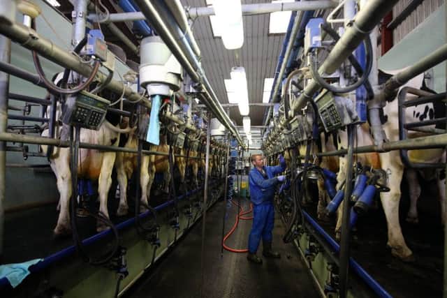 Inside a modern milking facility