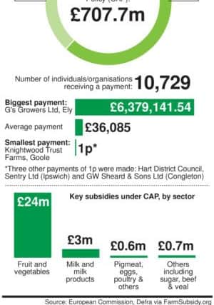 Graphic breaks down payments to UK farmers under the Common Agricultural Policy