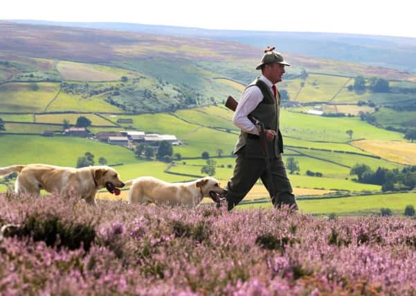 Peter Snaith, head keeper of the Danby Estate, checking over the heather moorland above the Valley in Danby on the North York Moors.