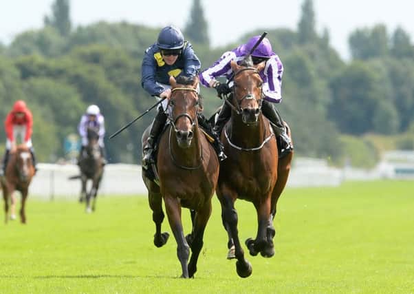 Storm The Stars ridden by Pat Cosgrave, left, beats Bondi Beach ridden by Joseph O'Brien to win the Betway Great Voltigeur Stakes.