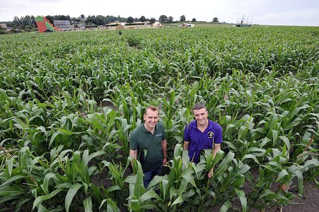Robert Copley (left) the owner of Farmer Copley, Pontefract, with Jonathan Timm the Farm Manager, in a field of corn.